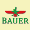 Bauer Pizzeria Kebab en Aprilia