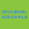 Istanbul Girasole en Monza