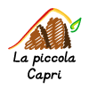 Pizzeria La Piccola Capri en Pisa